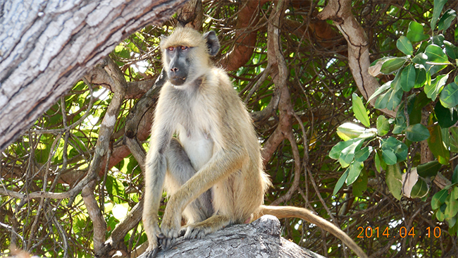 ag凯发k8国际海工最美施工摄影作品展(二) ag凯发k8国际海工最美施工摄影作品展(二)