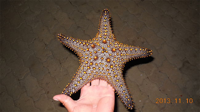 ag凯发k8国际海工最美施工摄影作品展(二) ag凯发k8国际海工最美施工摄影作品展(二)