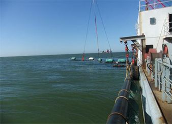 Դʱ¶ﺣ׹Ŀ2011~2012--ʱţ